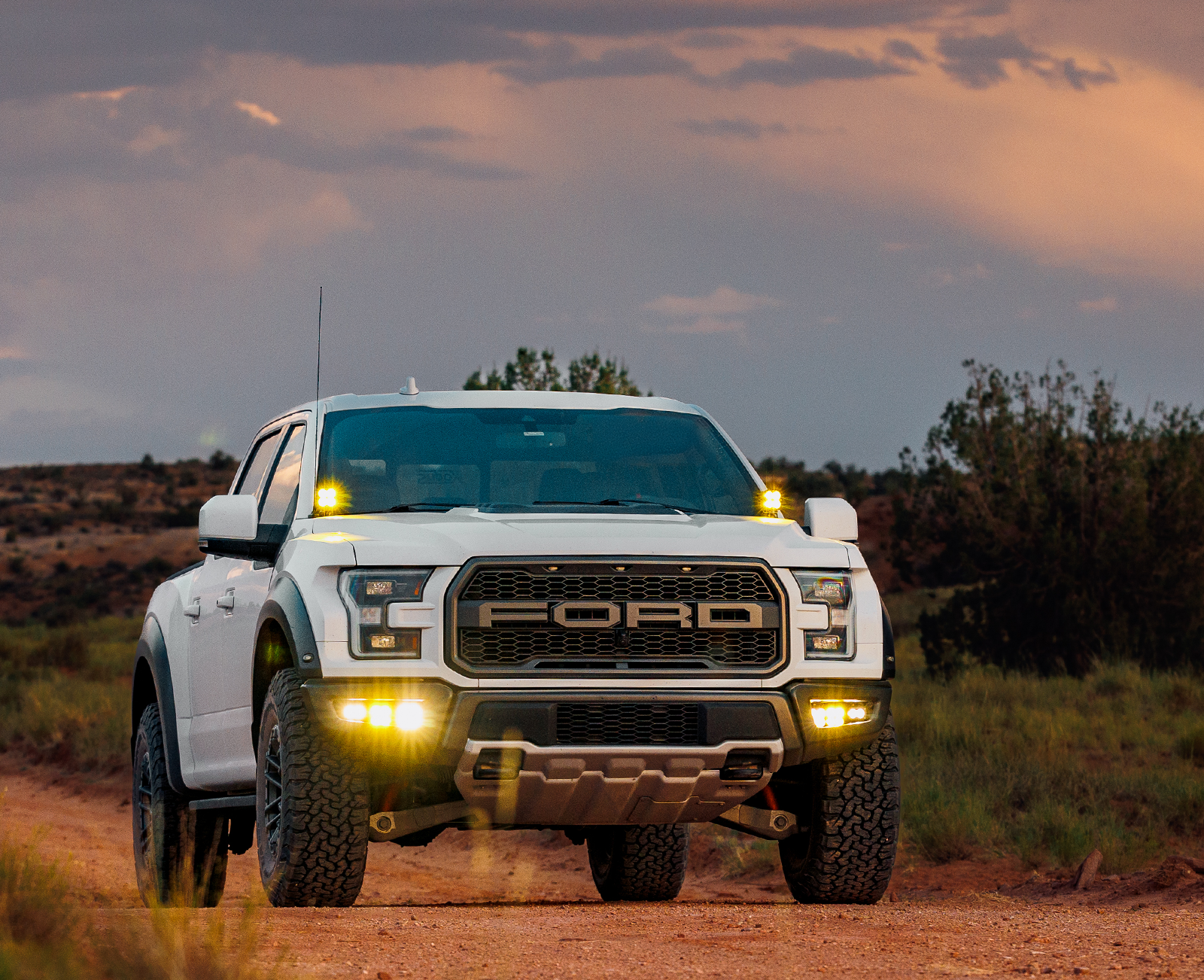 2017-2020 Raptor Ecoboost (2nd Gen) – Xodus